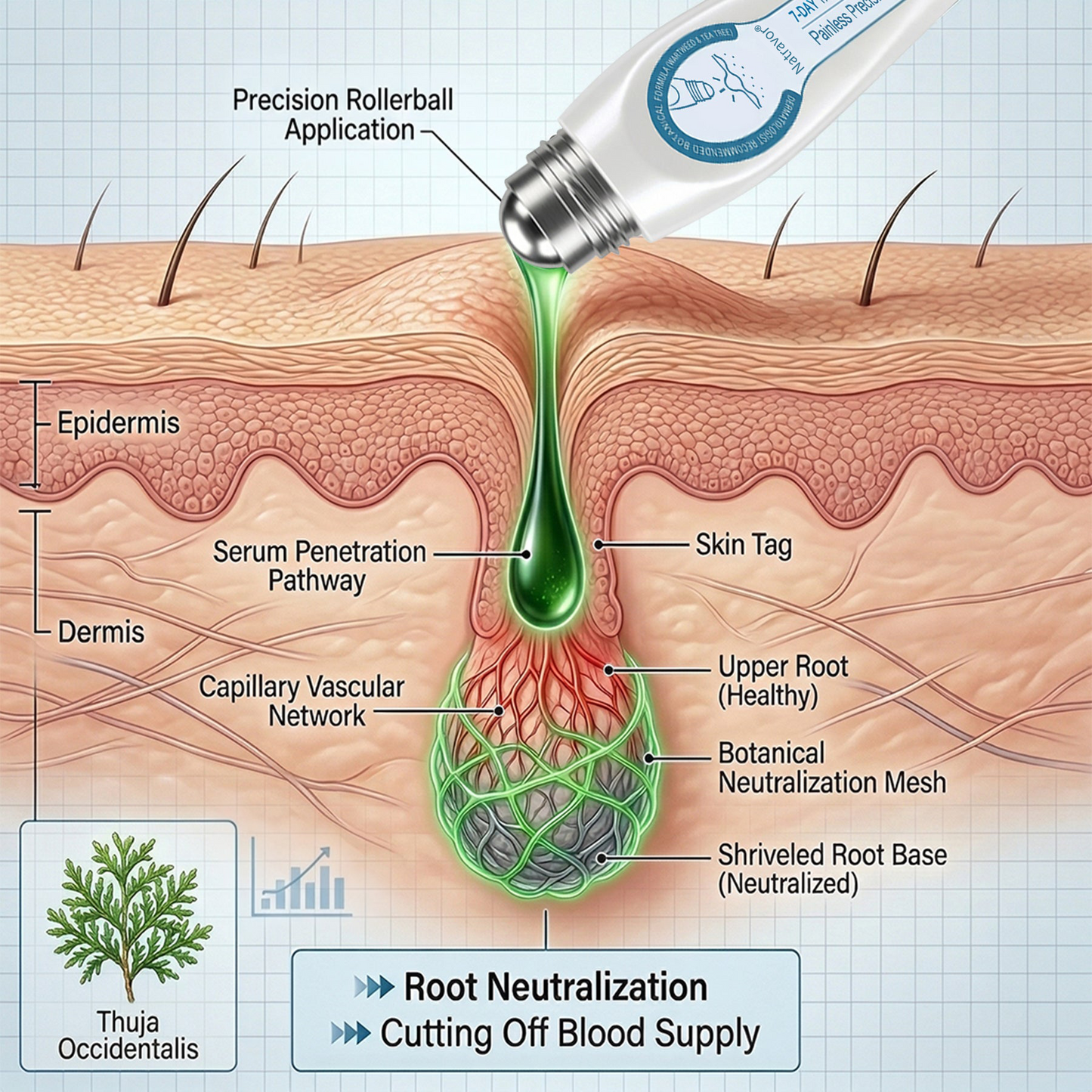 Natravor®💎 7-Day Skin Tag & Spot Eraser (Pain-Free, No-Scars Rollerball)